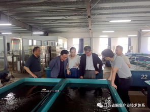 日韓專家訪問江蘇省淡水水產(chǎn)研究所揚中基地，共促水產(chǎn)技術(shù)交流與合作